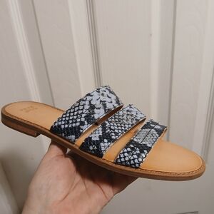 FRYE AND CO. Black and Blue Sandals Sz.8